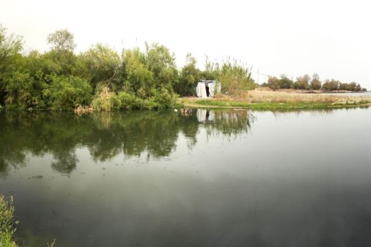 alimos ekvoles